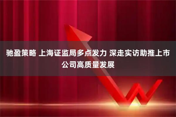 驰盈策略 上海证监局多点发力 深走实访助推上市公司高质量发展