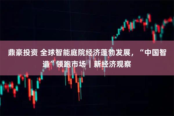 鼎豪投资 全球智能庭院经济蓬勃发展,“中国智造”领跑市场|新经济观察