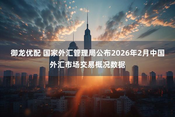 御龙优配 国家外汇管理局公布2026年2月中国外汇市场交易概况数据