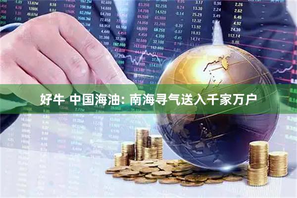 好牛 中国海油: 南海寻气送入千家万户