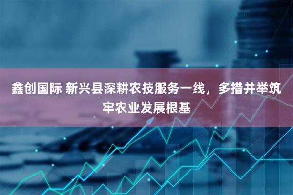鑫创国际 新兴县深耕农技服务一线，多措并举筑牢农业发展根基