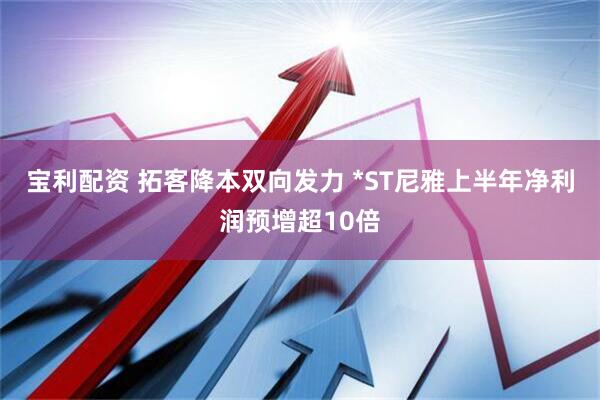 宝利配资 拓客降本双向发力 *ST尼雅上半年净利润预增超10倍